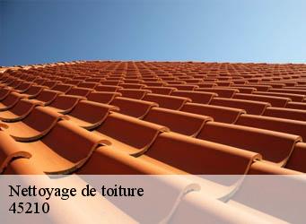 Nettoyage de toiture