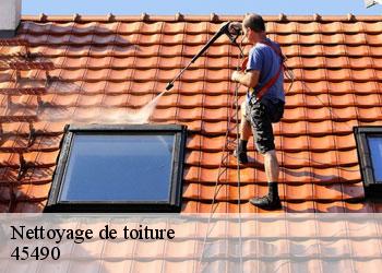 Nettoyage de toiture