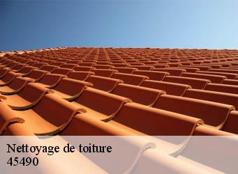 Nettoyage de toiture