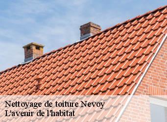 Nettoyage de toiture