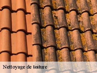 Nettoyage de toiture