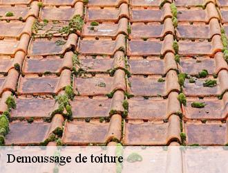 Demoussage de toiture