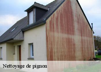 Nettoyage de pignon