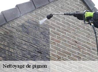 Nettoyage de pignon