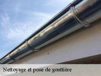 Nettoyage et pose de gouttière