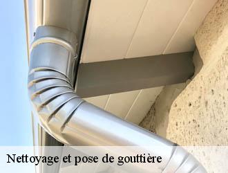 Nettoyage et pose de gouttière