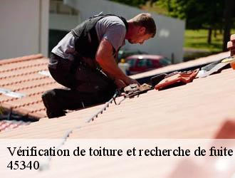 Vérification de toiture et recherche de fuite