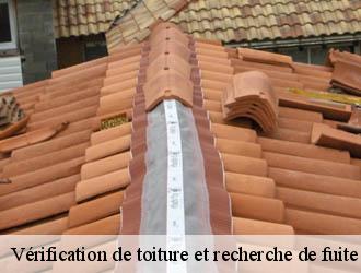 Vérification de toiture et recherche de fuite