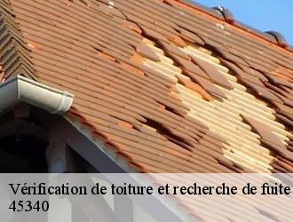 Vérification de toiture et recherche de fuite