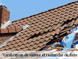 Vérification de toiture et recherche de fuite