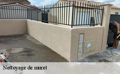 Nettoyage de muret