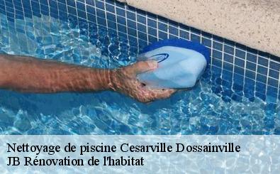 Nettoyage de piscine