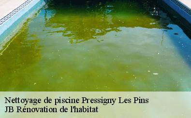 Nettoyage de piscine