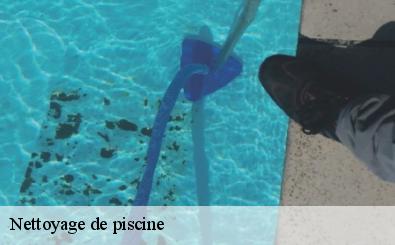 Nettoyage de piscine