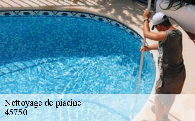 Nettoyage de piscine