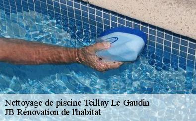 Nettoyage de piscine