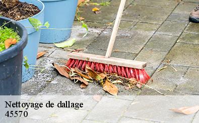 Nettoyage de dallage