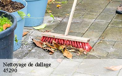 Nettoyage de dallage