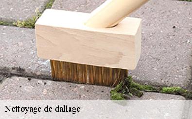 Nettoyage de dallage